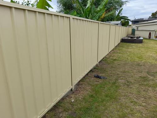 Colorbond Fencing